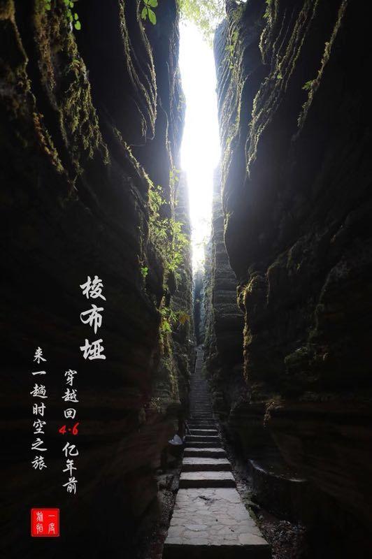 世界黄金协会:去年全球黄金需求创历史新高达4899吨,各国央行买入1037吨
