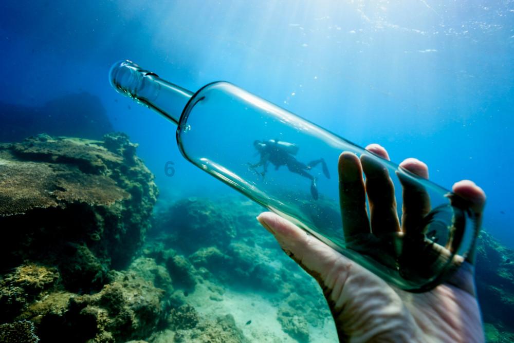 探索小熊猫和浣熊的区别|小熊猫和浣熊的区别知识星球
